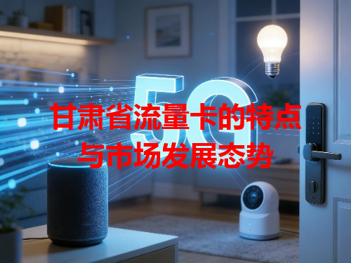 甘肃省流量卡的特点与市场发展态势