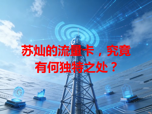 苏灿的流量卡，究竟有何独特之处？