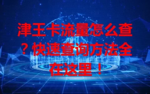 津王卡流量怎么查？快速查询方法全在这里！