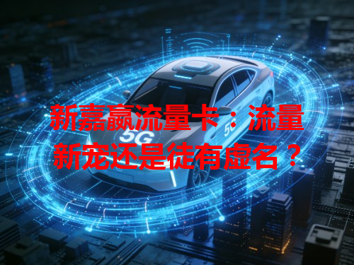 新嘉嬴流量卡：流量新宠还是徒有虚名？