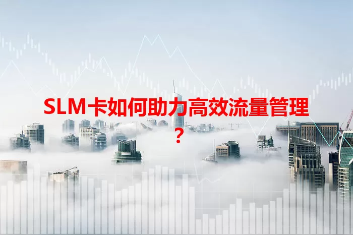 SLM卡如何助力高效流量管理?