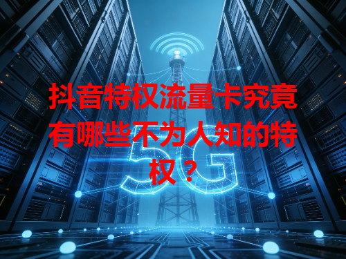 抖音特权流量卡究竟有哪些不为人知的特权？