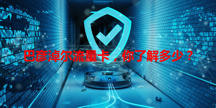 巴彦淖尔流量卡，你了解多少？