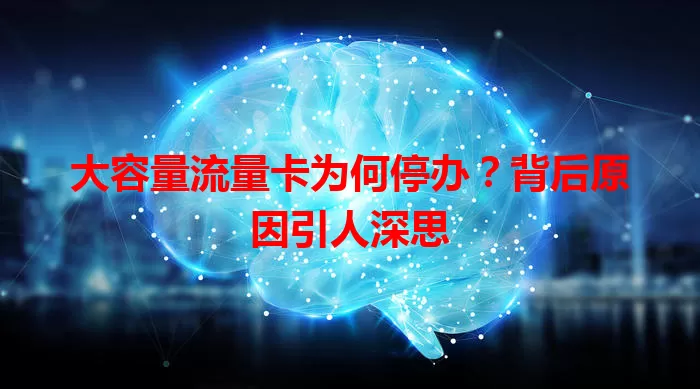 大容量流量卡为何停办?背后原因引人深思