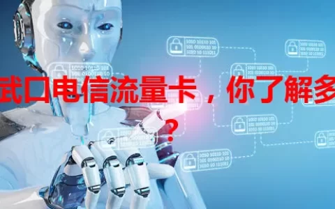 大武口电信流量卡，你了解多少？