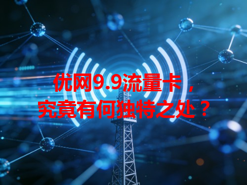 优网9.9流量卡，究竟有何独特之处？