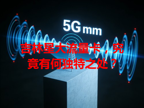 吉林星大流量卡，究竟有何独特之处？