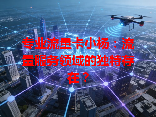 专业流量卡小杨：流量服务领域的独特存在？