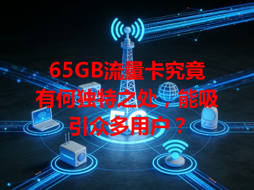 65GB流量卡究竟有何独特之处，能吸引众多用户？