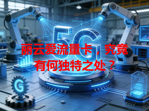 丽云爱流量卡，究竟有何独特之处？