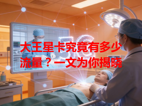 大王星卡究竟有多少流量？一文为你揭晓