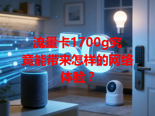 流量卡1700g究竟能带来怎样的网络体验？