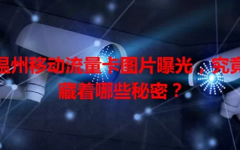 温州移动流量卡图片曝光，究竟藏着哪些秘密？