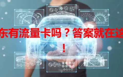 广东有流量卡吗？答案就在这里！