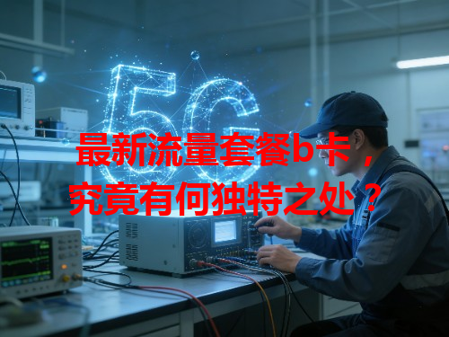 最新流量套餐b卡，究竟有何独特之处？