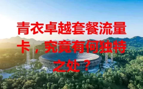 青衣卓越套餐流量卡，究竟有何独特之处？