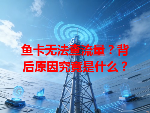 鱼卡无法查流量？背后原因究竟是什么？