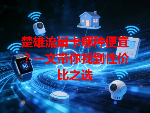 楚雄流量卡哪种便宜？一文带你找到性价比之选