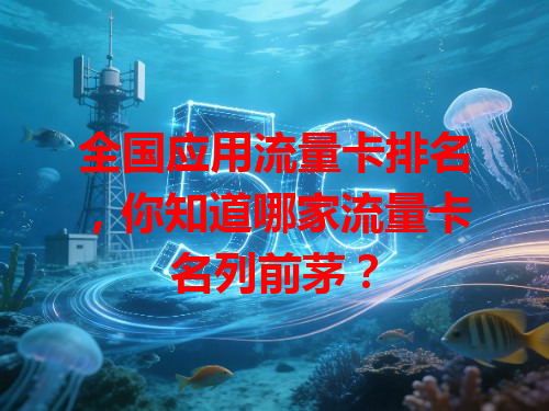 全国应用流量卡排名，你知道哪家流量卡名列前茅？