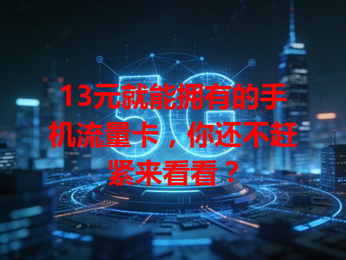 13元就能拥有的手机流量卡，你还不赶紧来看看？