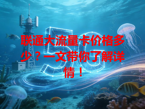 联通大流量卡价格多少？一文带你了解详情！