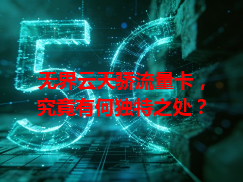 无界云天骄流量卡，究竟有何独特之处？
