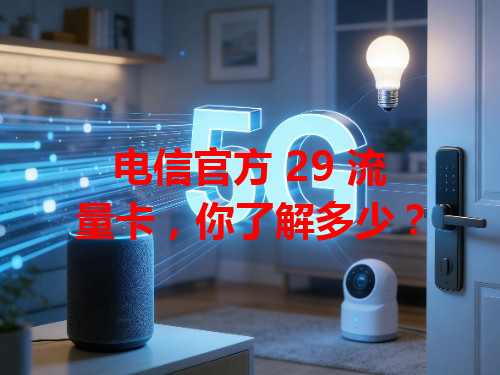 电信官方 29 流量卡，你了解多少？
