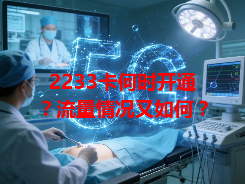 2233卡何时开通？流量情况又如何？