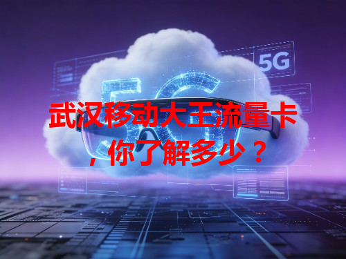武汉移动大王流量卡，你了解多少？