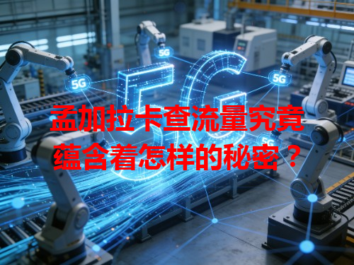 孟加拉卡查流量究竟蕴含着怎样的秘密？