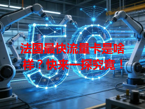法国最快流量卡是啥样？快来一探究竟！