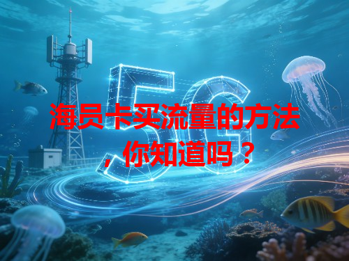 海员卡买流量的方法，你知道吗？