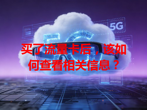 买了流量卡后，该如何查看相关信息？