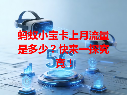 蚂蚁小宝卡上月流量是多少？快来一探究竟！