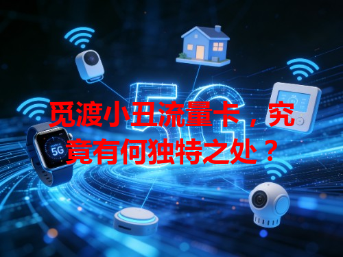 觅渡小丑流量卡，究竟有何独特之处？