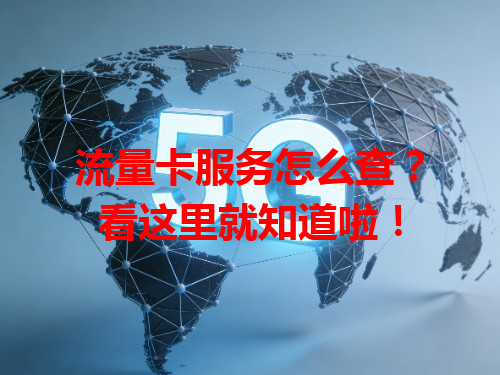 流量卡服务怎么查？看这里就知道啦！