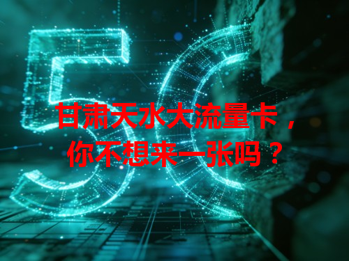 甘肃天水大流量卡，你不想来一张吗？