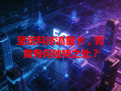 坚宏科技流量卡，究竟有何独特之处？