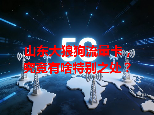 山东大狼狗流量卡，究竟有啥特别之处？