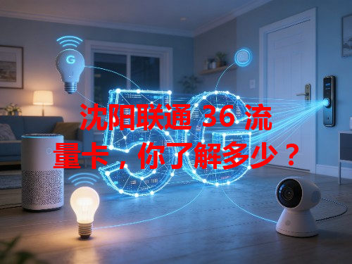 沈阳联通 36 流量卡，你了解多少？
