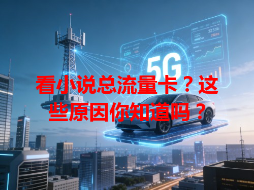 看小说总流量卡？这些原因你知道吗？