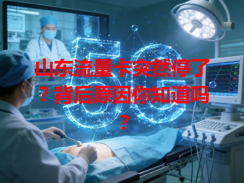 山东流量卡突然停了？背后原因你知道吗？