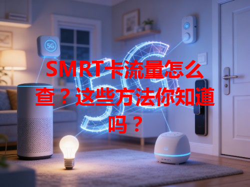 SMRT卡流量怎么查？这些方法你知道吗？