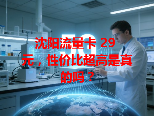 沈阳流量卡 29 元，性价比超高是真的吗？