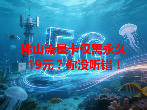 佛山流量卡仅需永久19元？你没听错！