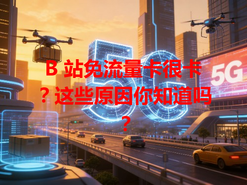 B 站免流量卡很卡？这些原因你知道吗？