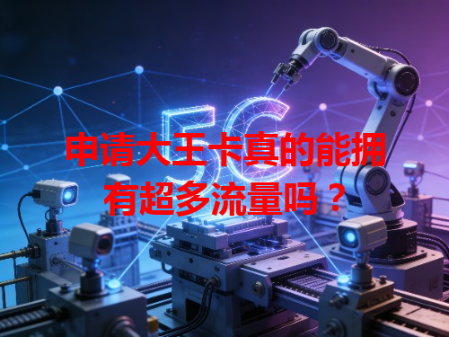 申请大王卡真的能拥有超多流量吗？