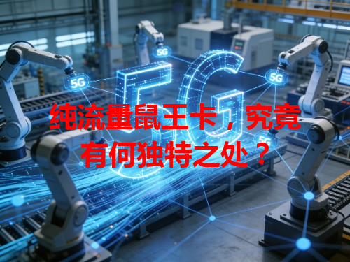 纯流量鼠王卡，究竟有何独特之处？