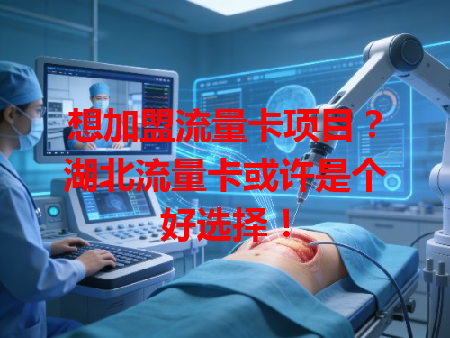 想加盟流量卡项目？湖北流量卡或许是个好选择！