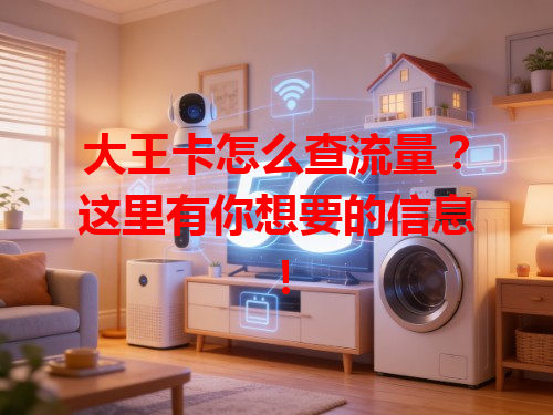 大王卡怎么查流量？这里有你想要的信息！